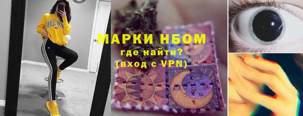 шишки Арсеньев