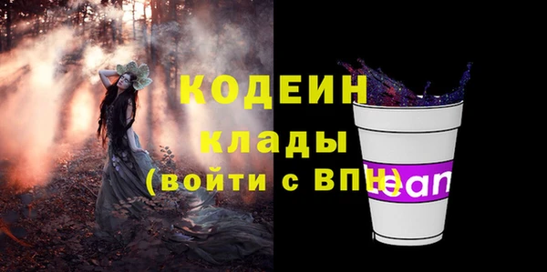 шишки Арсеньев