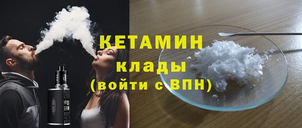 шишки Арсеньев
