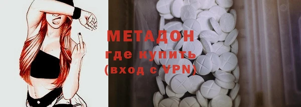 шишки Арсеньев