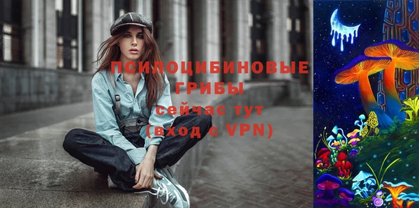 шишки Арсеньев