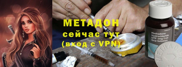 шишки Арсеньев
