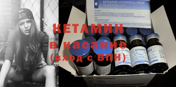 шишки Арсеньев