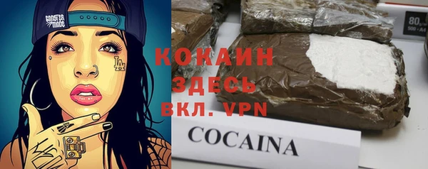 шишки Арсеньев